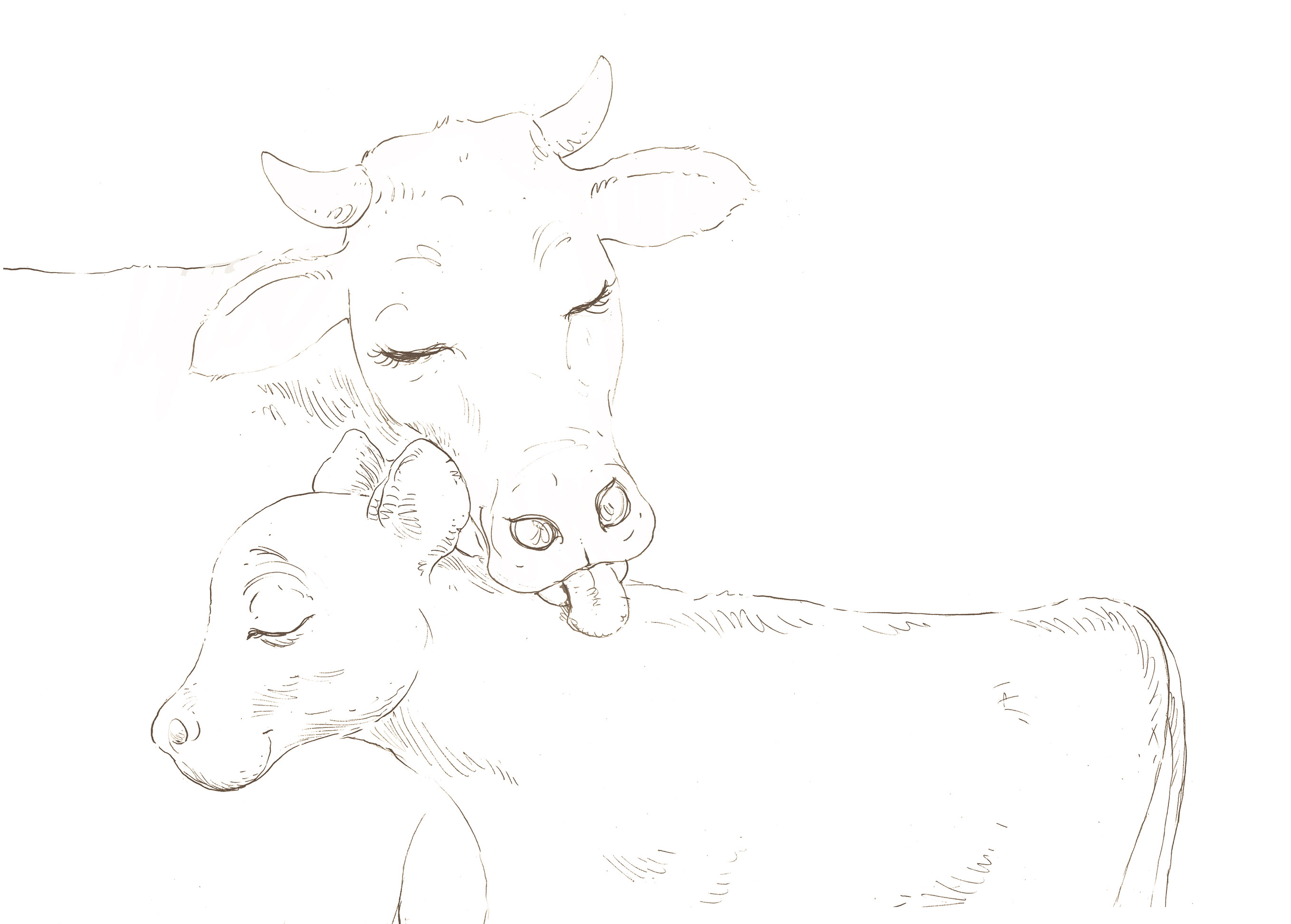 PitoPito03 copiar.jpg